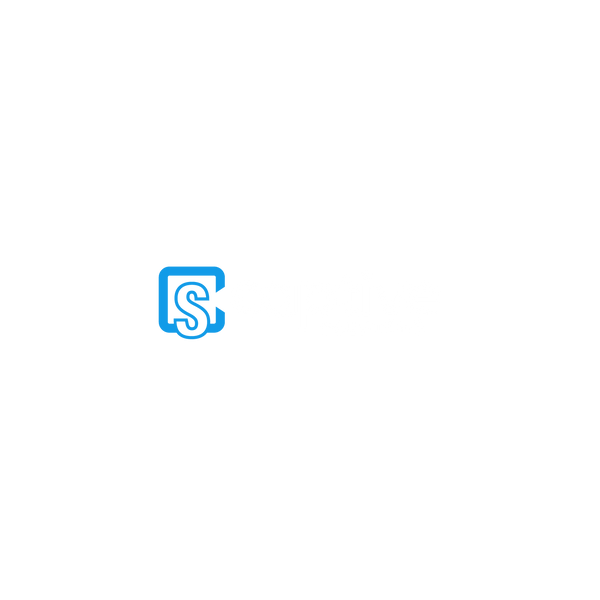 CaptiveSolutions